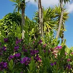 Villa Quinta Da Violeta *