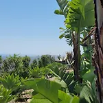 Villa Quinta Da Violeta Loulé