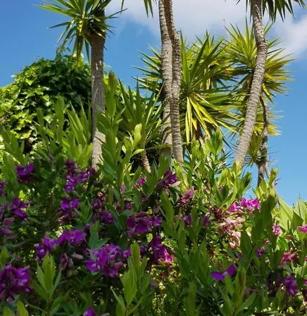 فيلة Quinta Da Violeta *