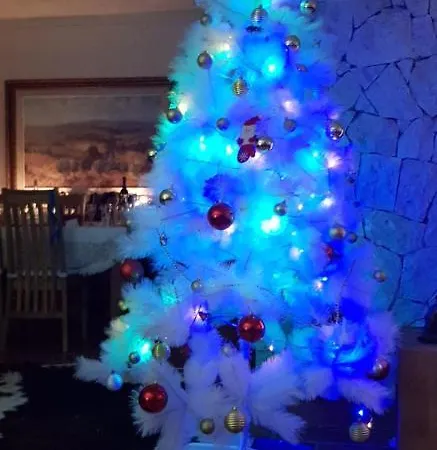 Quinta Da Violeta Willa