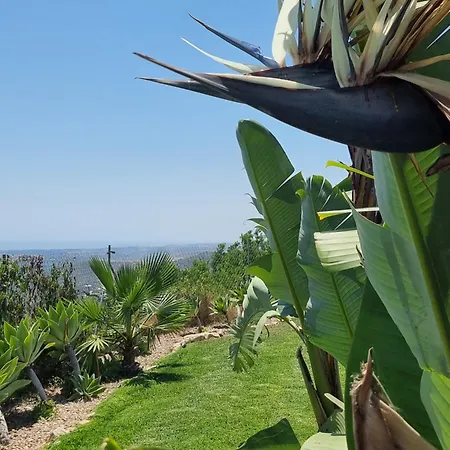 Quinta Da Violeta Willa Loulé