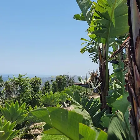 Villa Quinta Da Violeta Loule