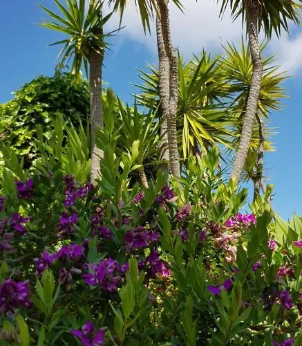 Villa Quinta Da Violeta *