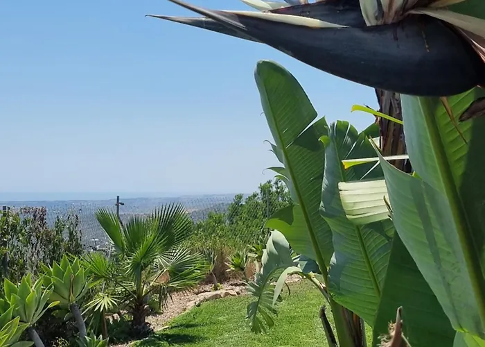 Quinta Da Violeta Villa Loulé