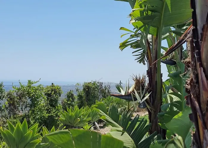 Villa Quinta Da Violeta Loulé