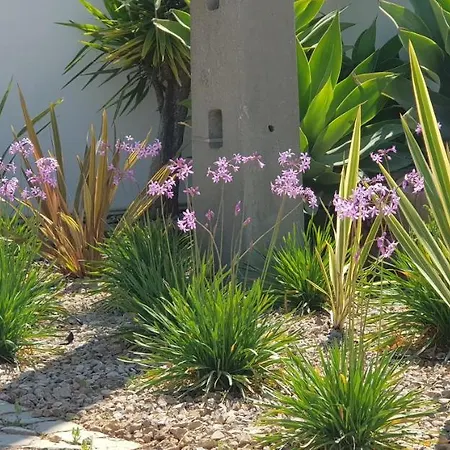 Villa Quinta Da Violeta Loule